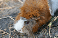 Das sollten Sie mitbringen: