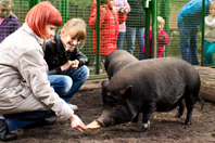 Welche Rechte habe ich als Tierpate