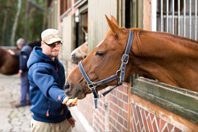 Wann endet meine Tierpatenschaft?