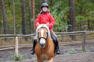 Pferde- & Ponyreiten Pferde- & Ponyreiten