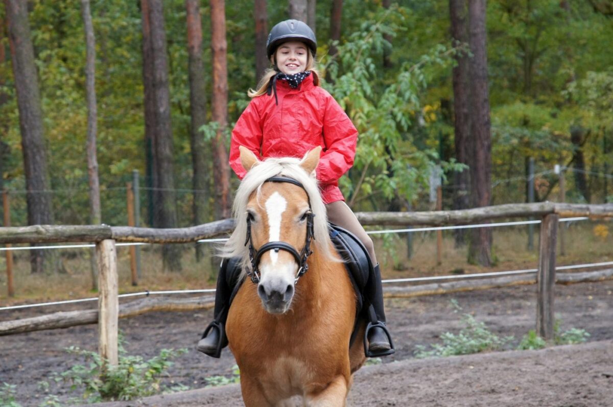 Pferde- & Ponyreiten